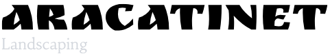 Aracatinet